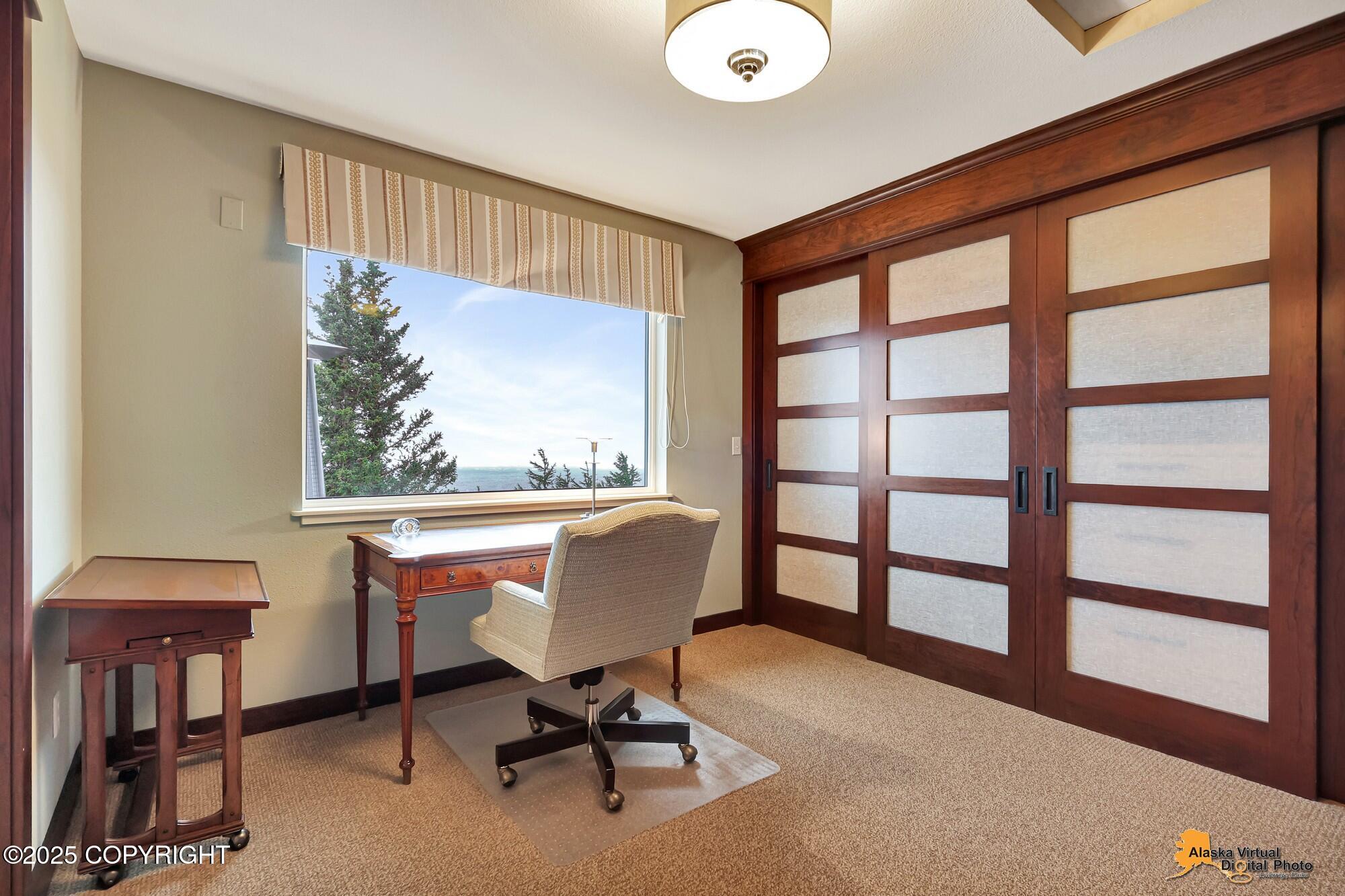 16971 Mount McKinley View Drive