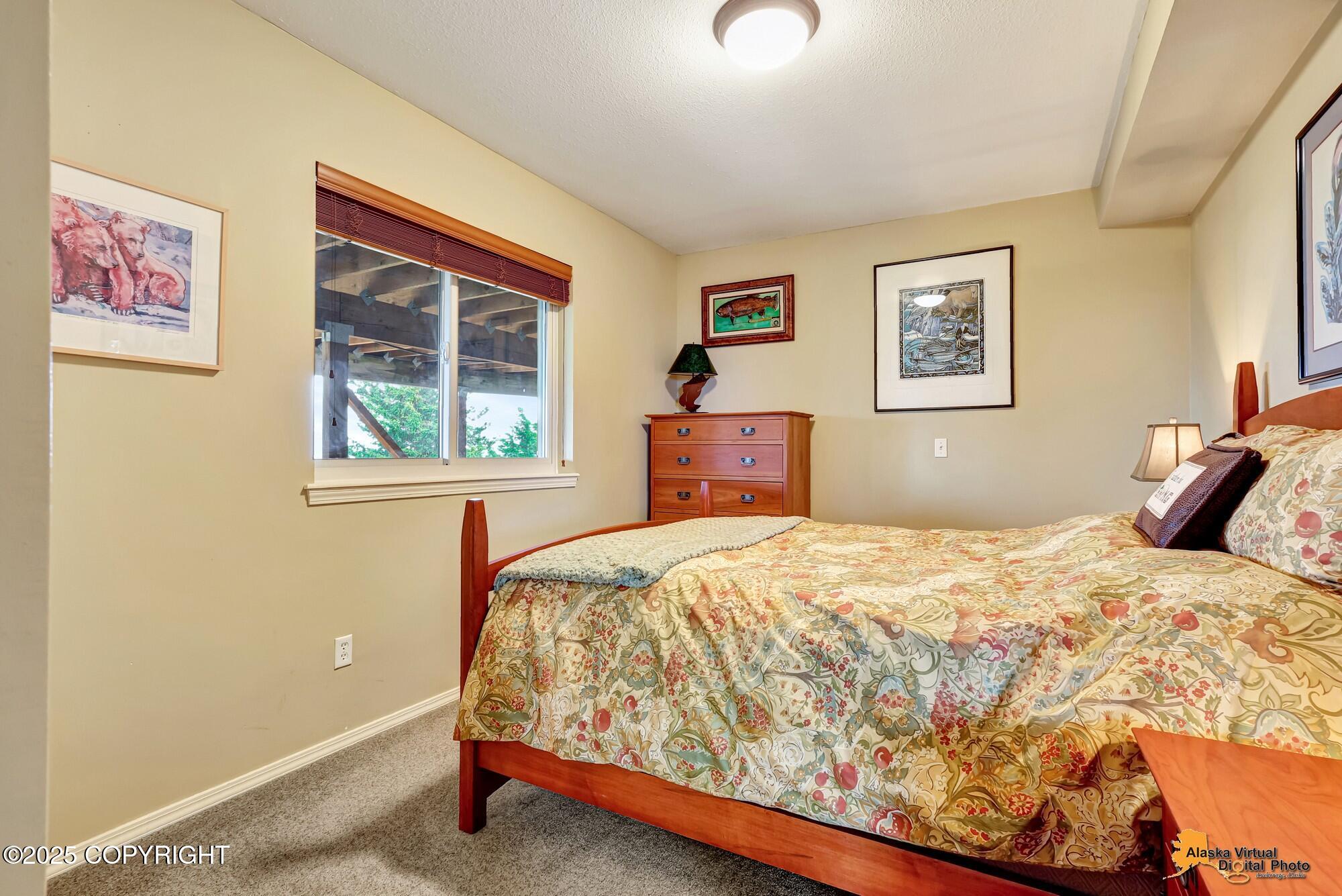 16971 Mount McKinley View Drive