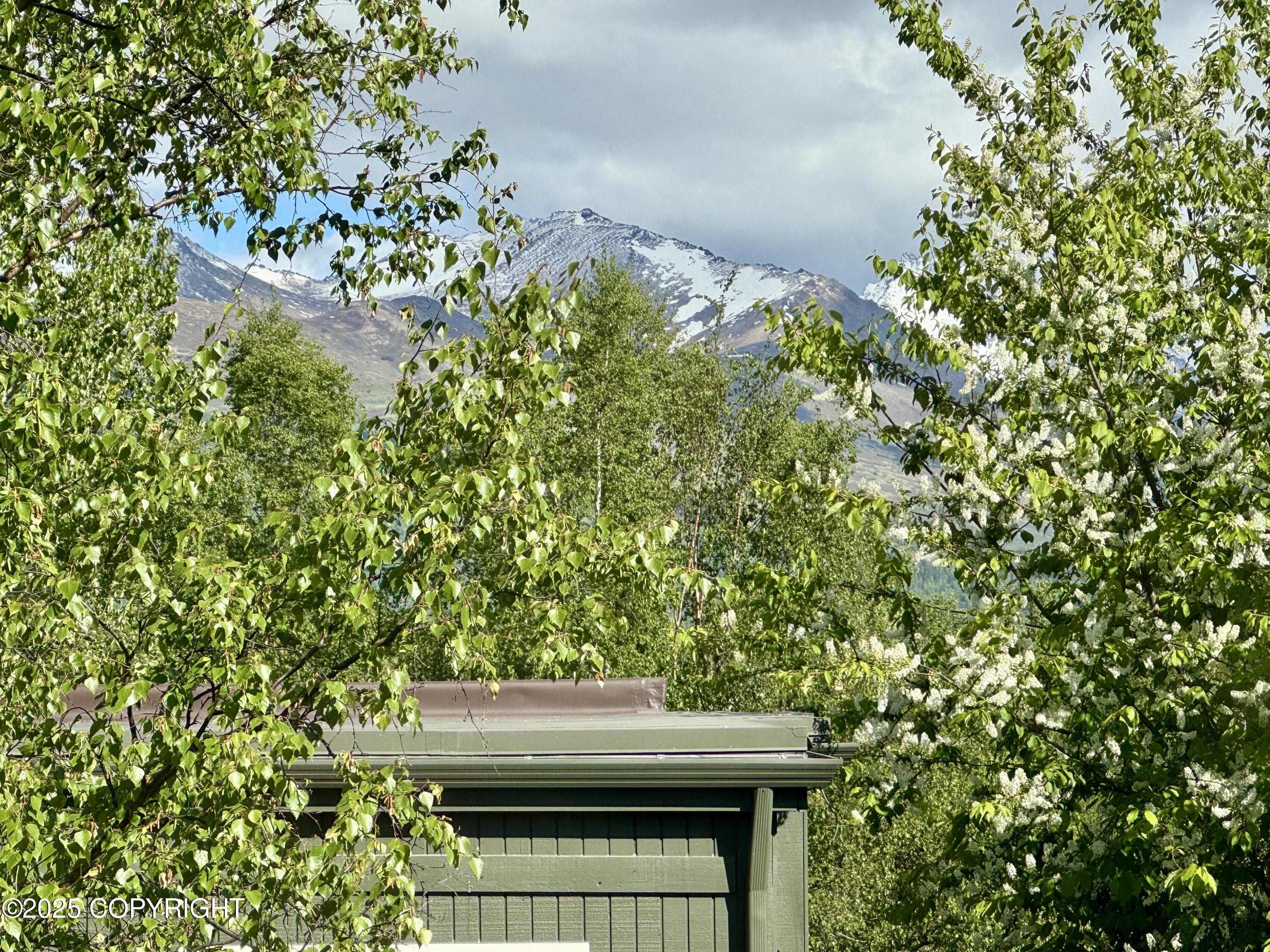 3535 Heartwood Place