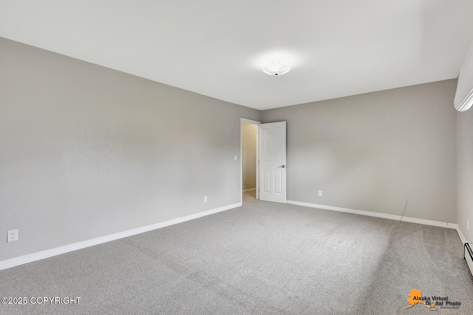 3211 Shamrock Street