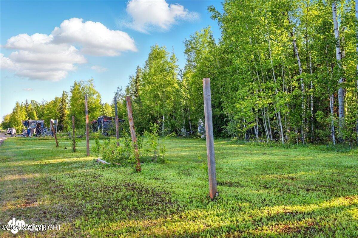 31391 W Parks Hwy