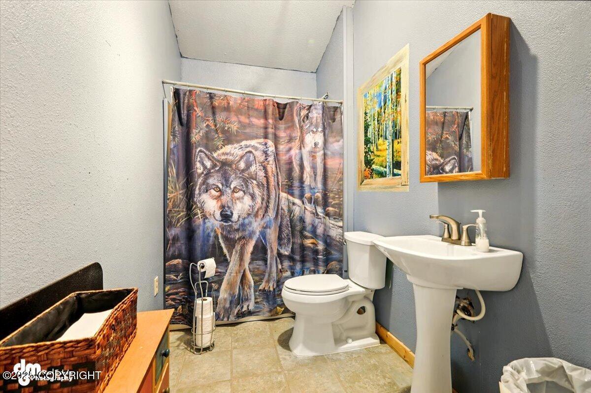 31391 W Parks Hwy