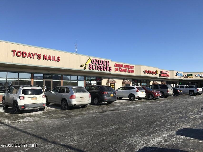 203 E Dimond Boulevard # A Unit: #A