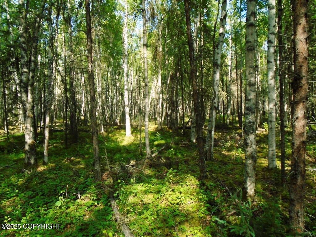 2077 N Meadow Lakes Loop