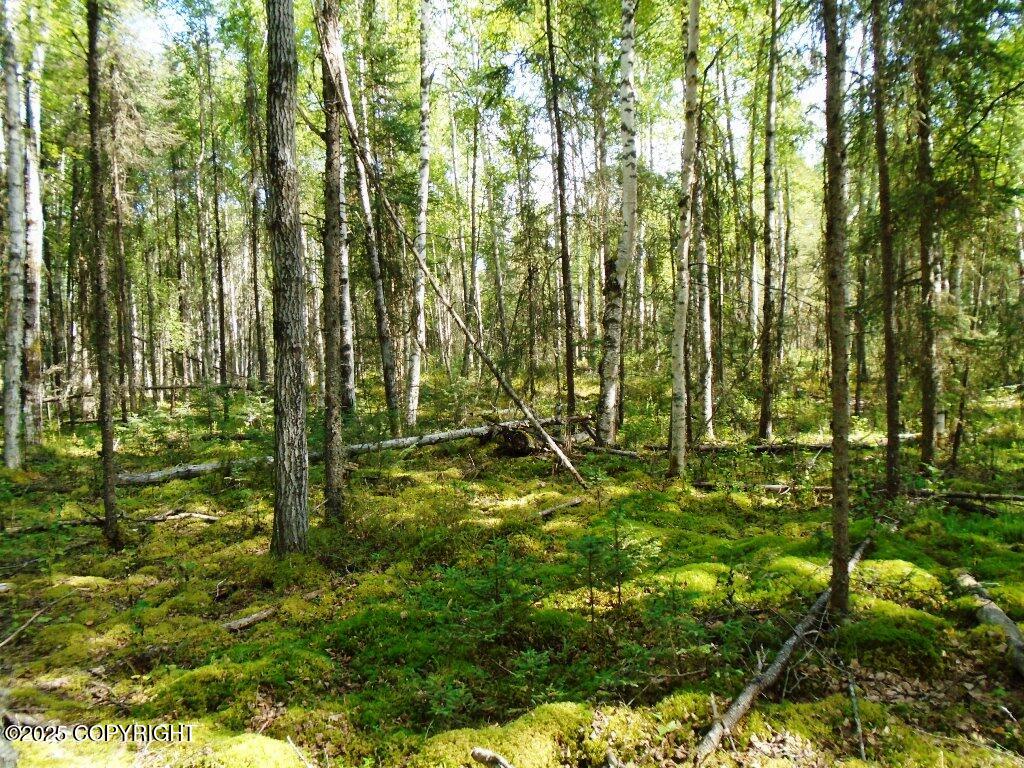 2077 N Meadow Lakes Loop