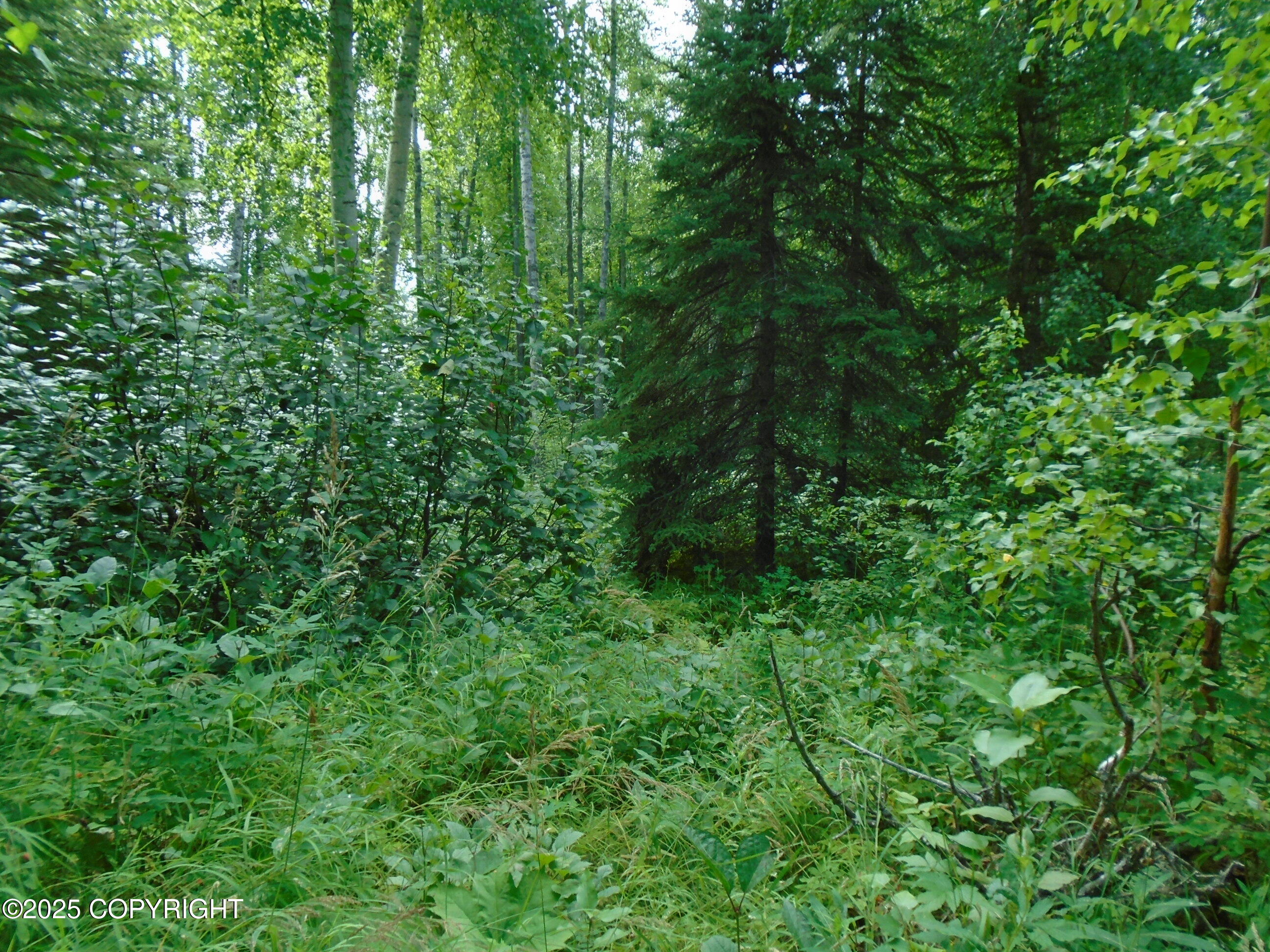 15032 W Necrason Drive