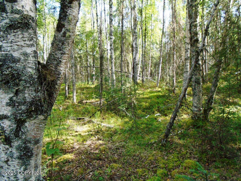 8581 W Skyview Drive