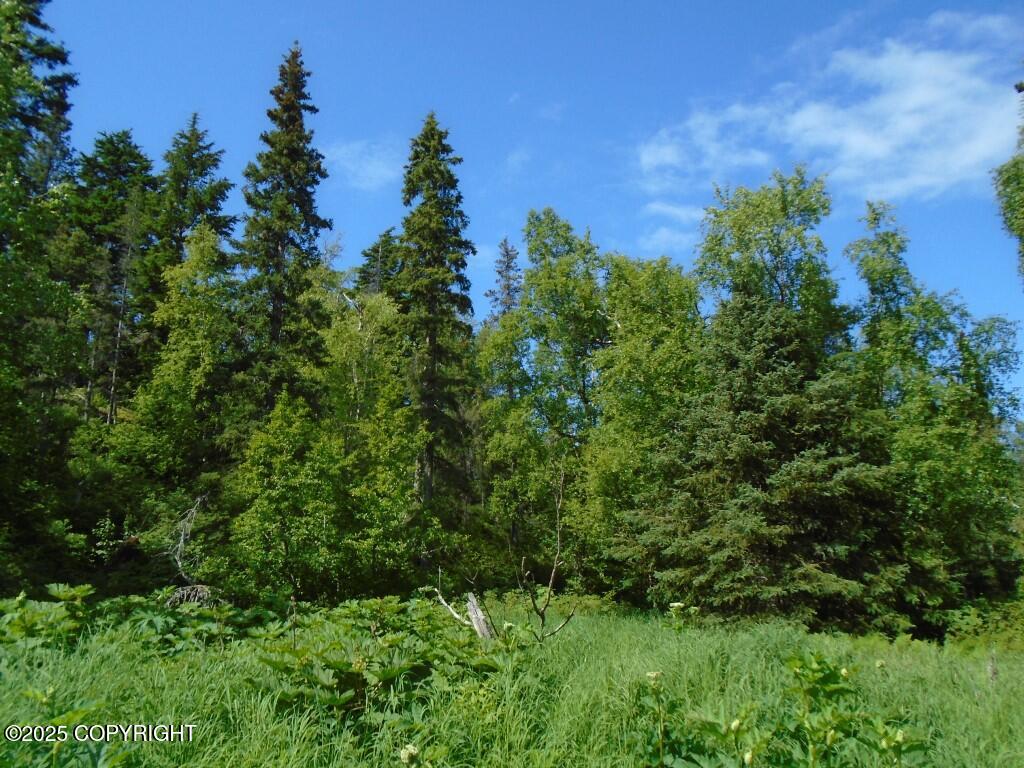 Lot 4 Stone Ridge Road