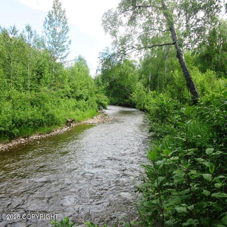 Tr G Mi 93 Parks Highway