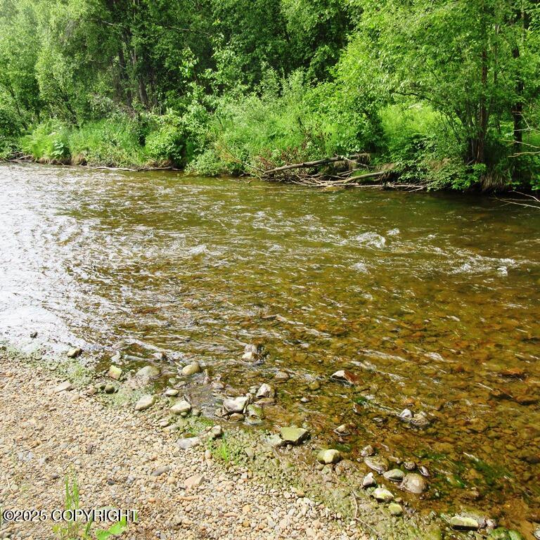 Tr G Mi 93 Parks Highway