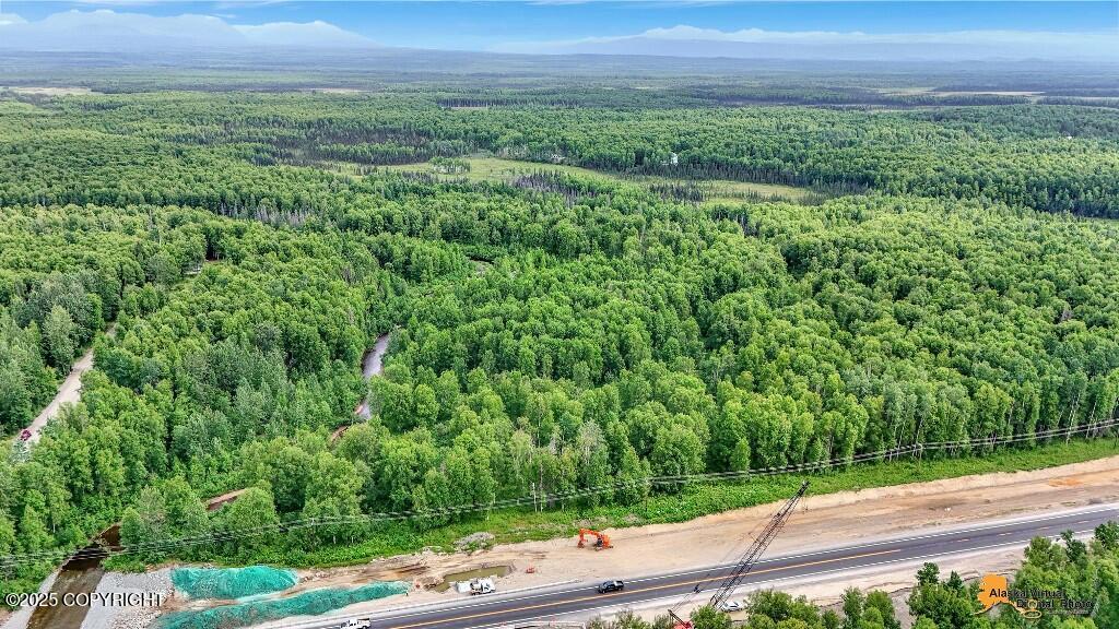 Tr G Mi 93 Parks Highway
