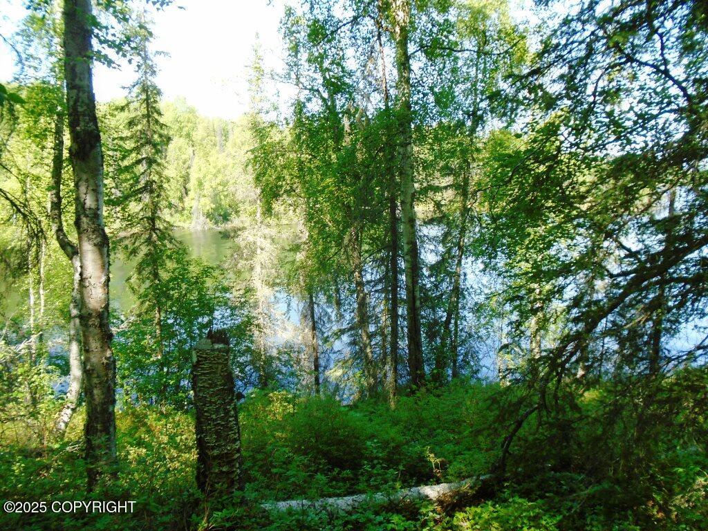 Tract A W Big Lake