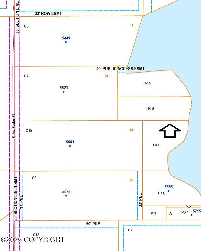 Tract B W Big Lake