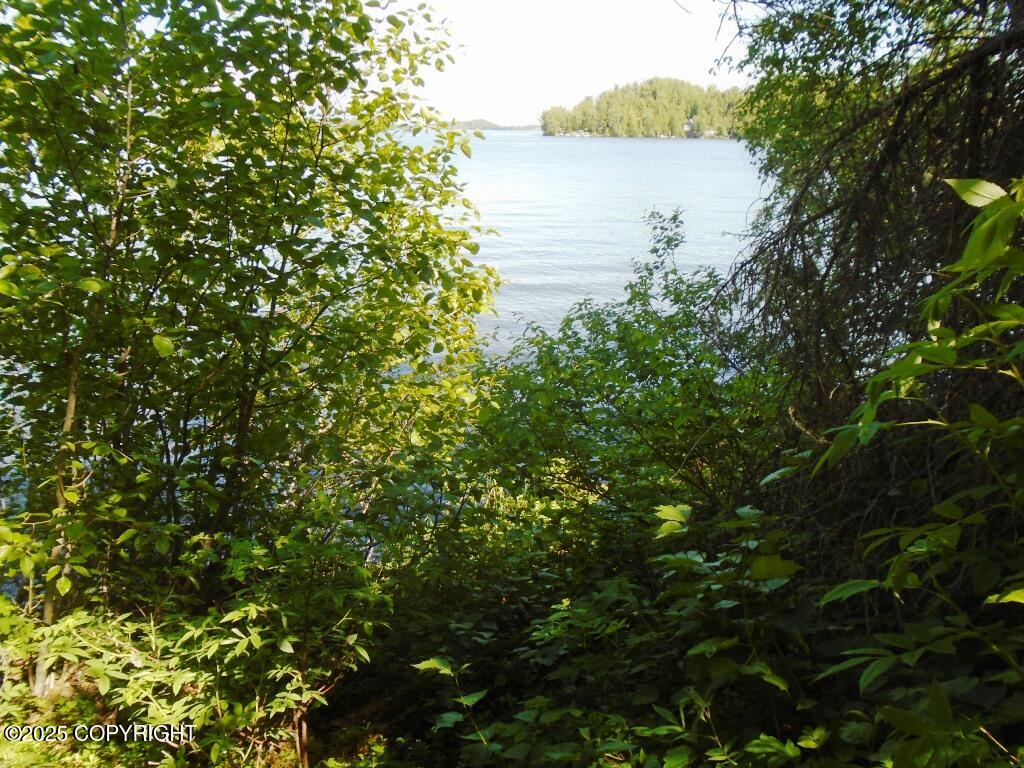 Tract B W Big Lake
