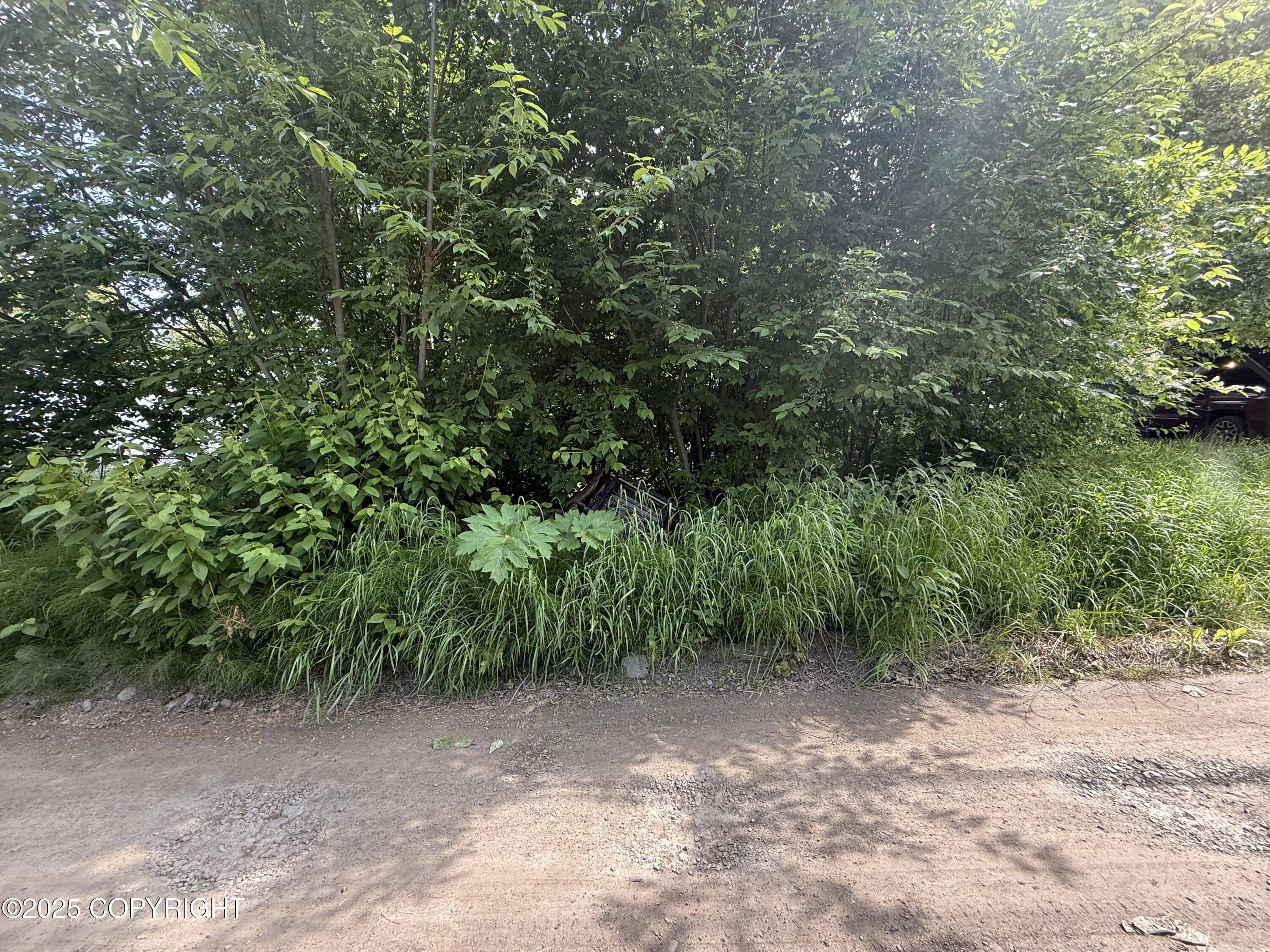 3910 Lynn Drive