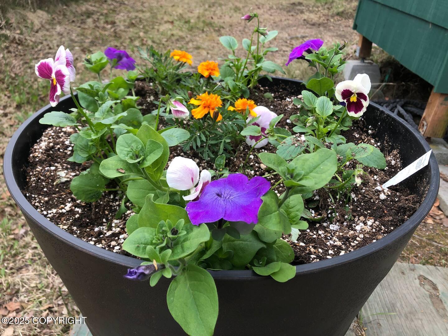 1801 Cleveland Avenue