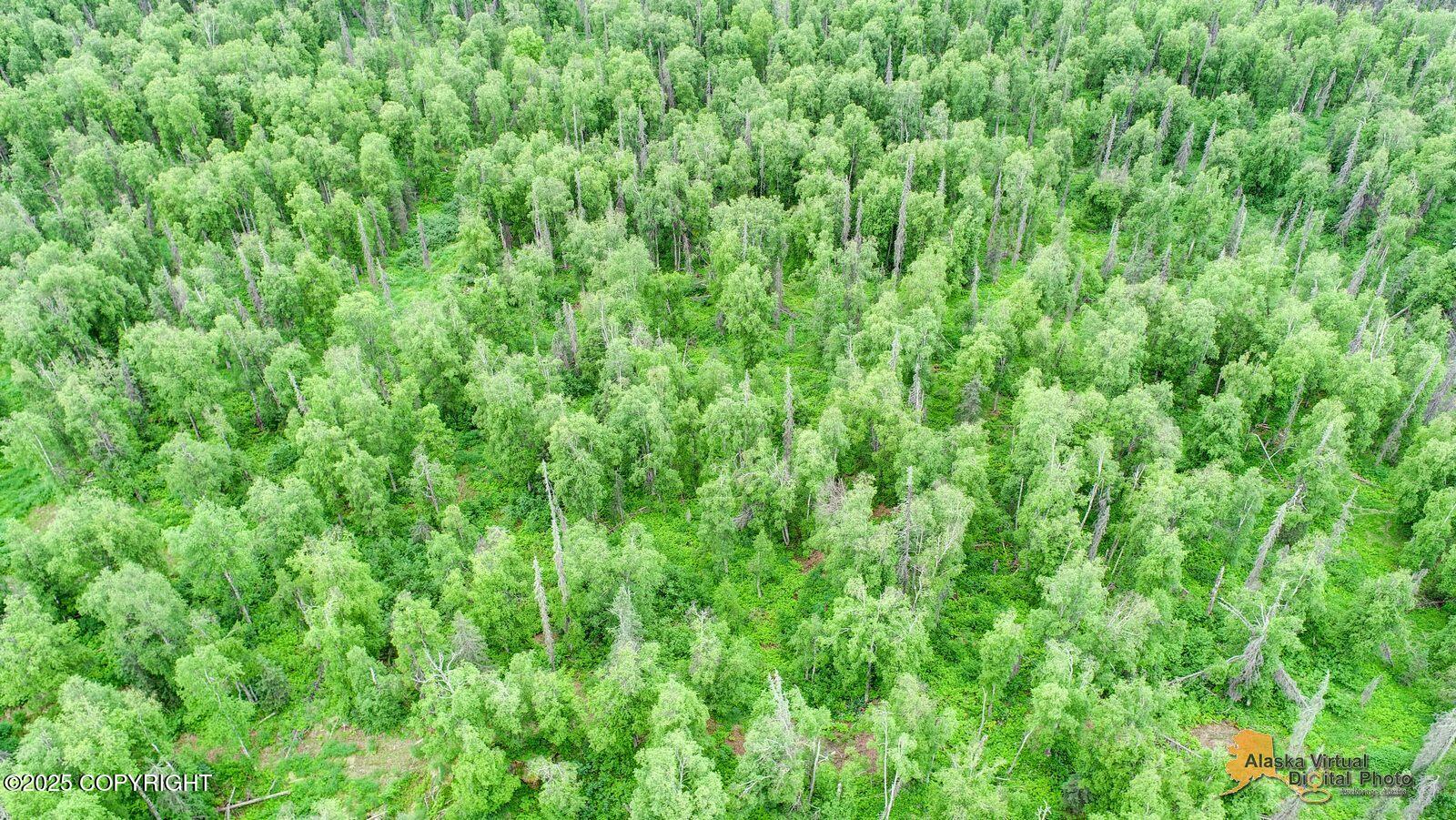 22533 E Big Mountain Drive