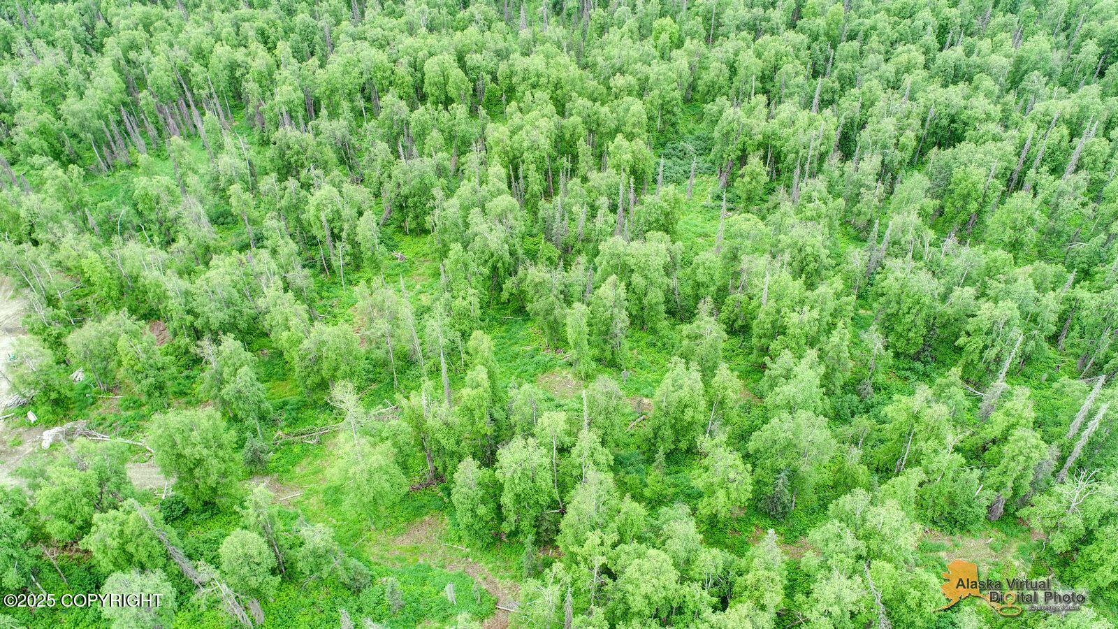 22533 E Big Mountain Drive