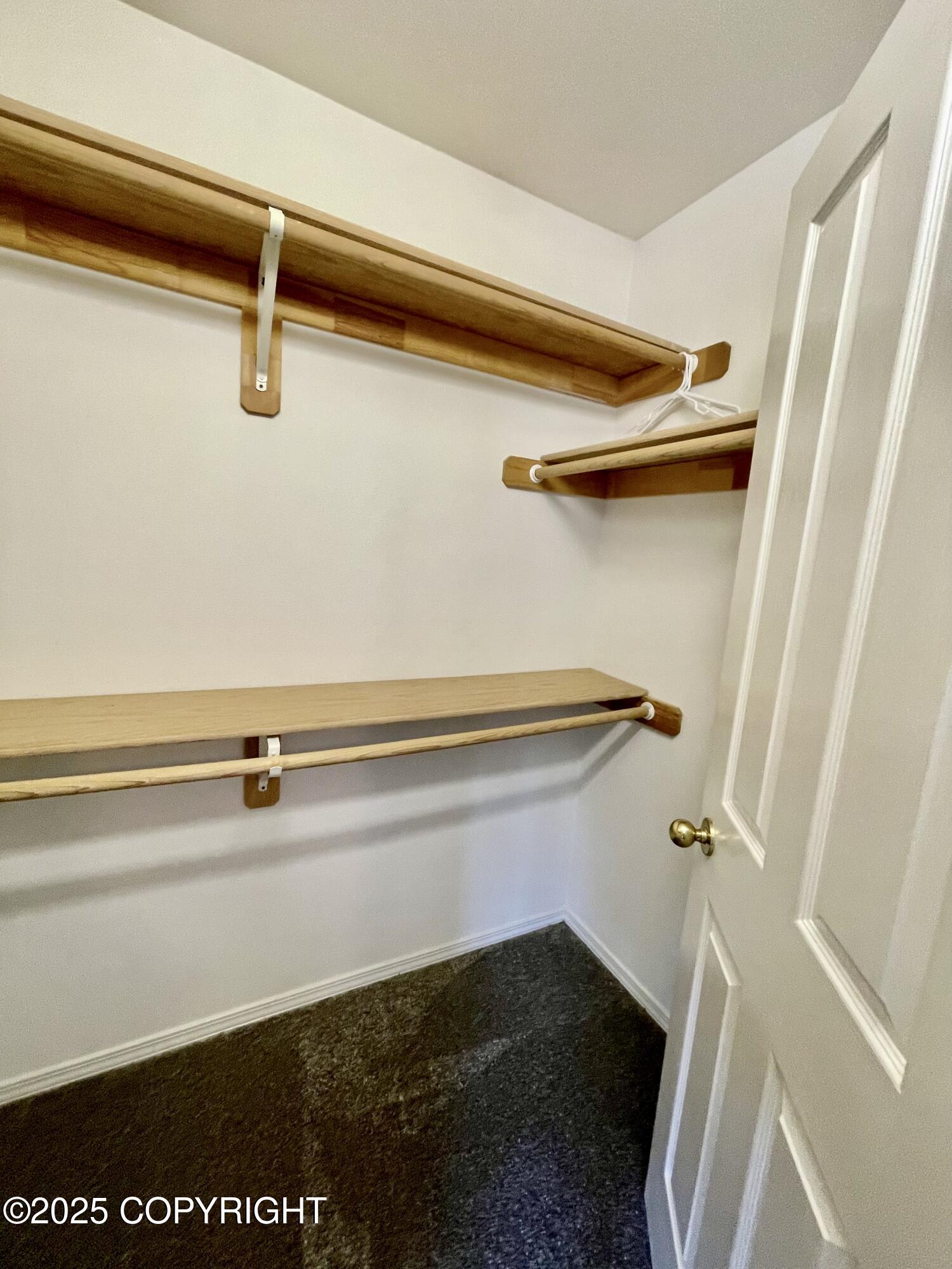 11613 BIRCH KNOLL Loop