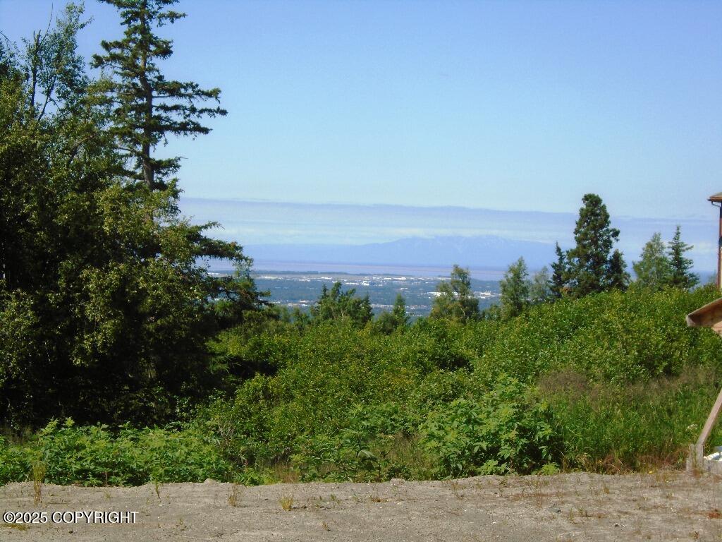 12801 Midori Drive