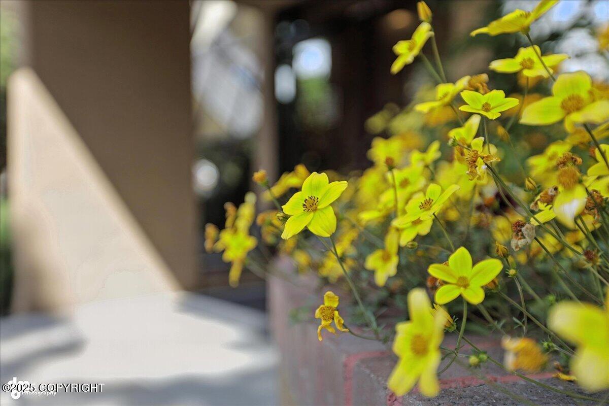 1200 I Street # 306 Unit: #306