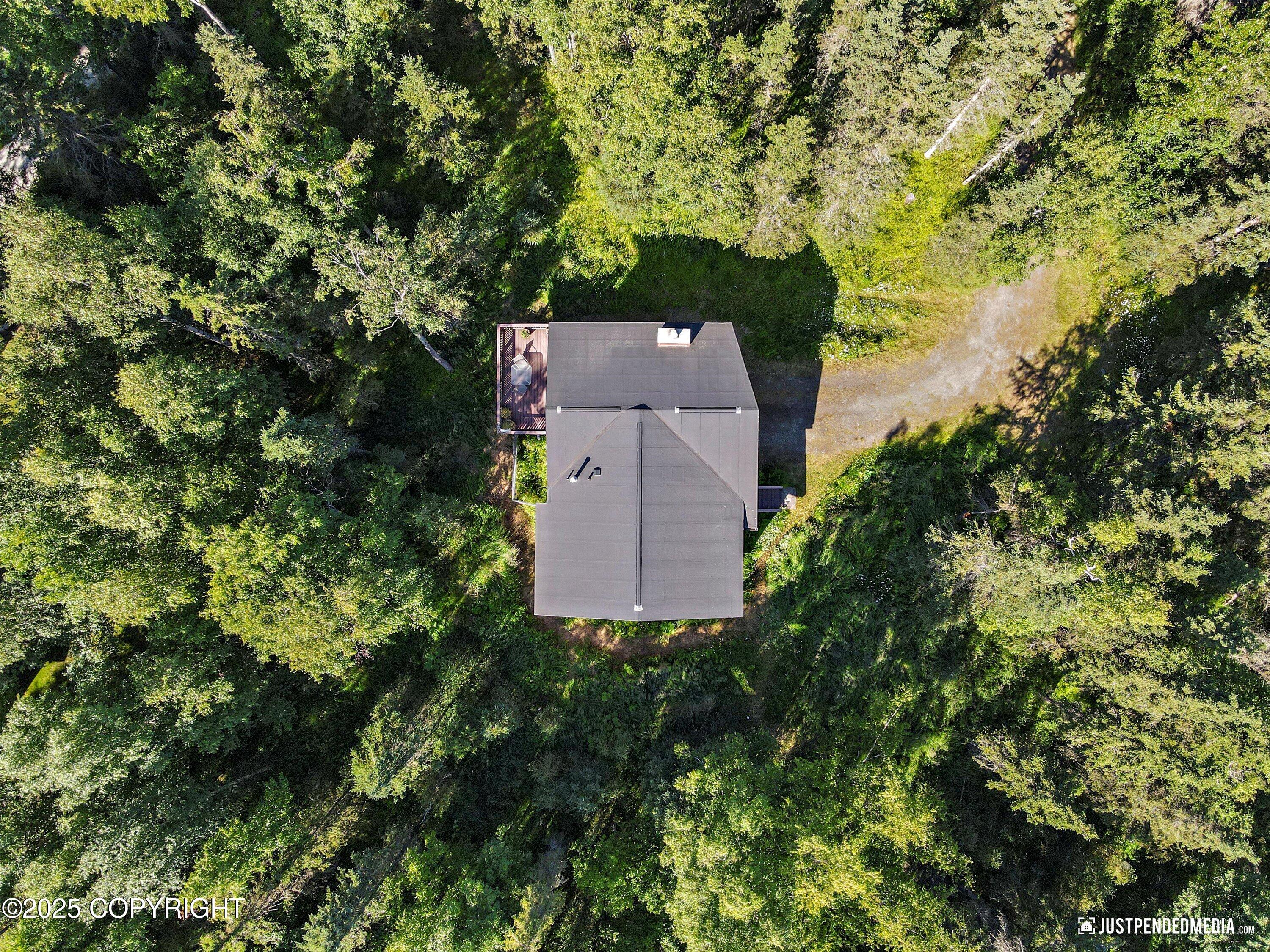 10151 Evergreen Tree Street