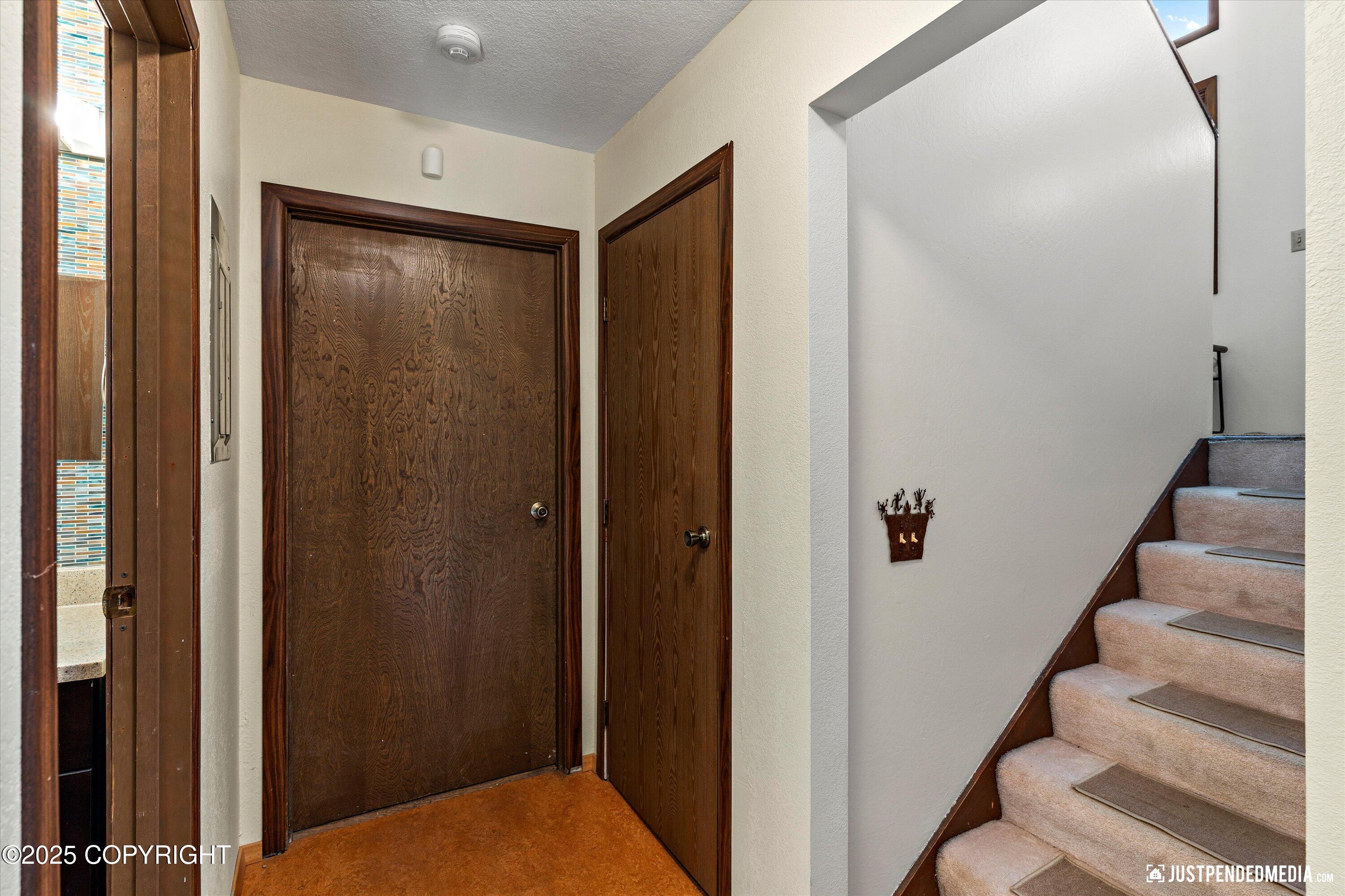 10151 Evergreen Tree Street