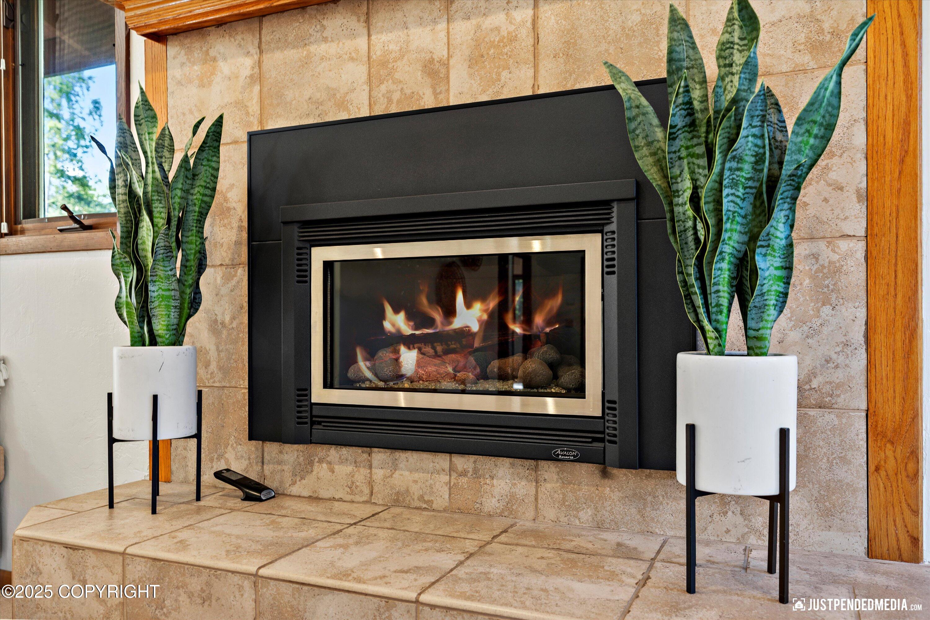 10151 Evergreen Tree Street