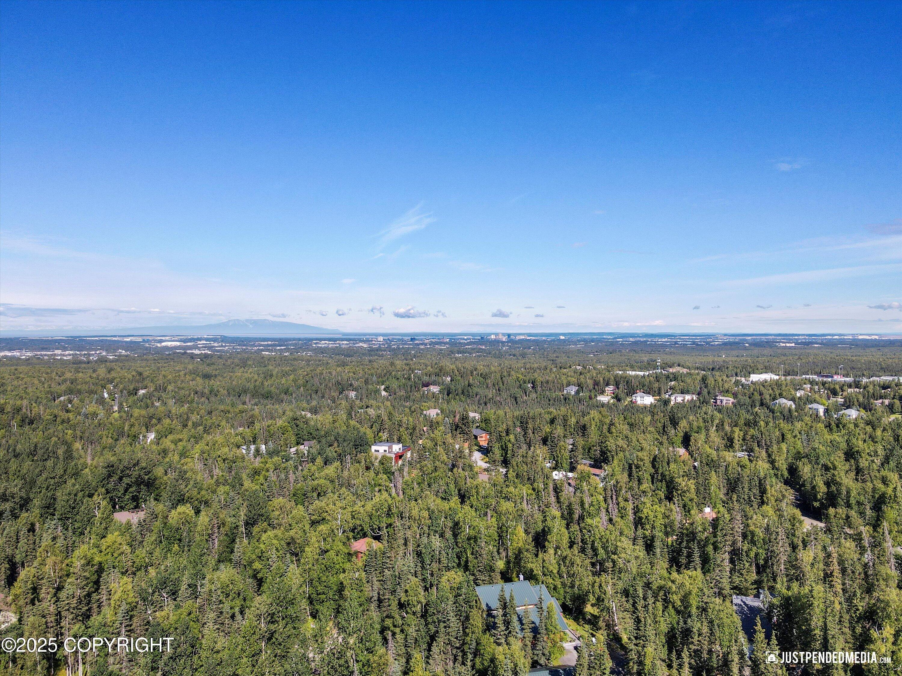 10151 Evergreen Tree Street