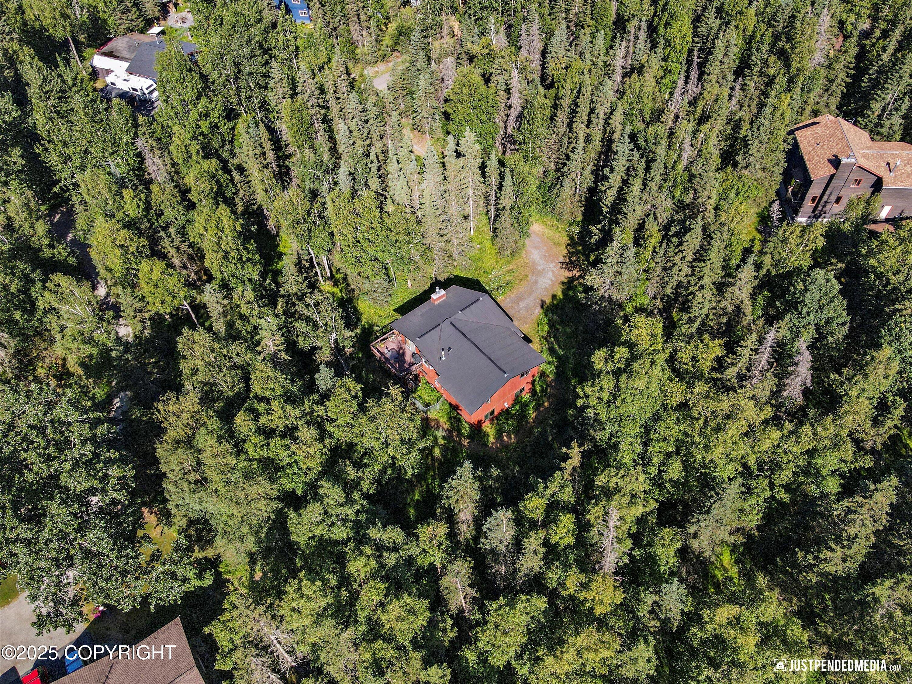 10151 Evergreen Tree Street