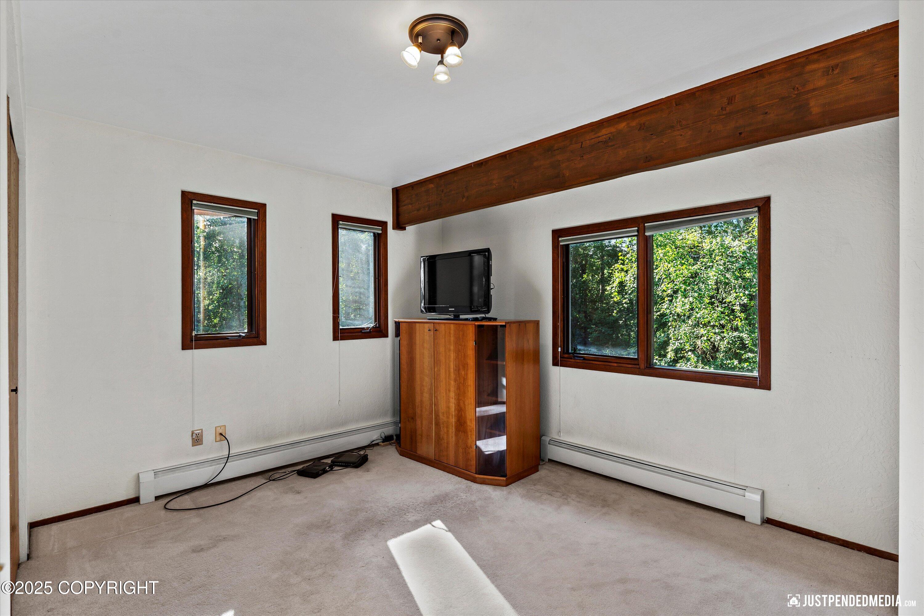 10151 Evergreen Tree Street