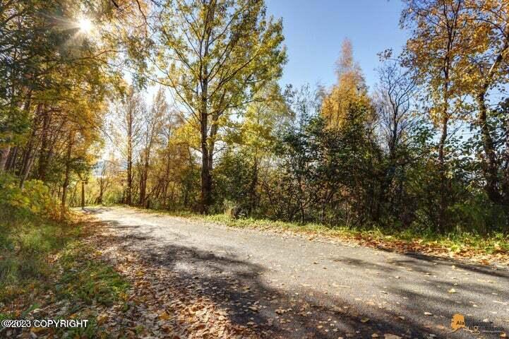 L9 & L10 Feodosia Drive