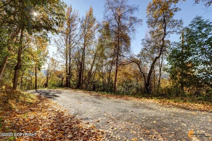 L9 & L10 Feodosia Drive