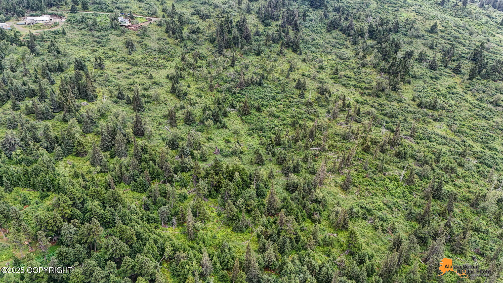 000 Potter Heights Drive