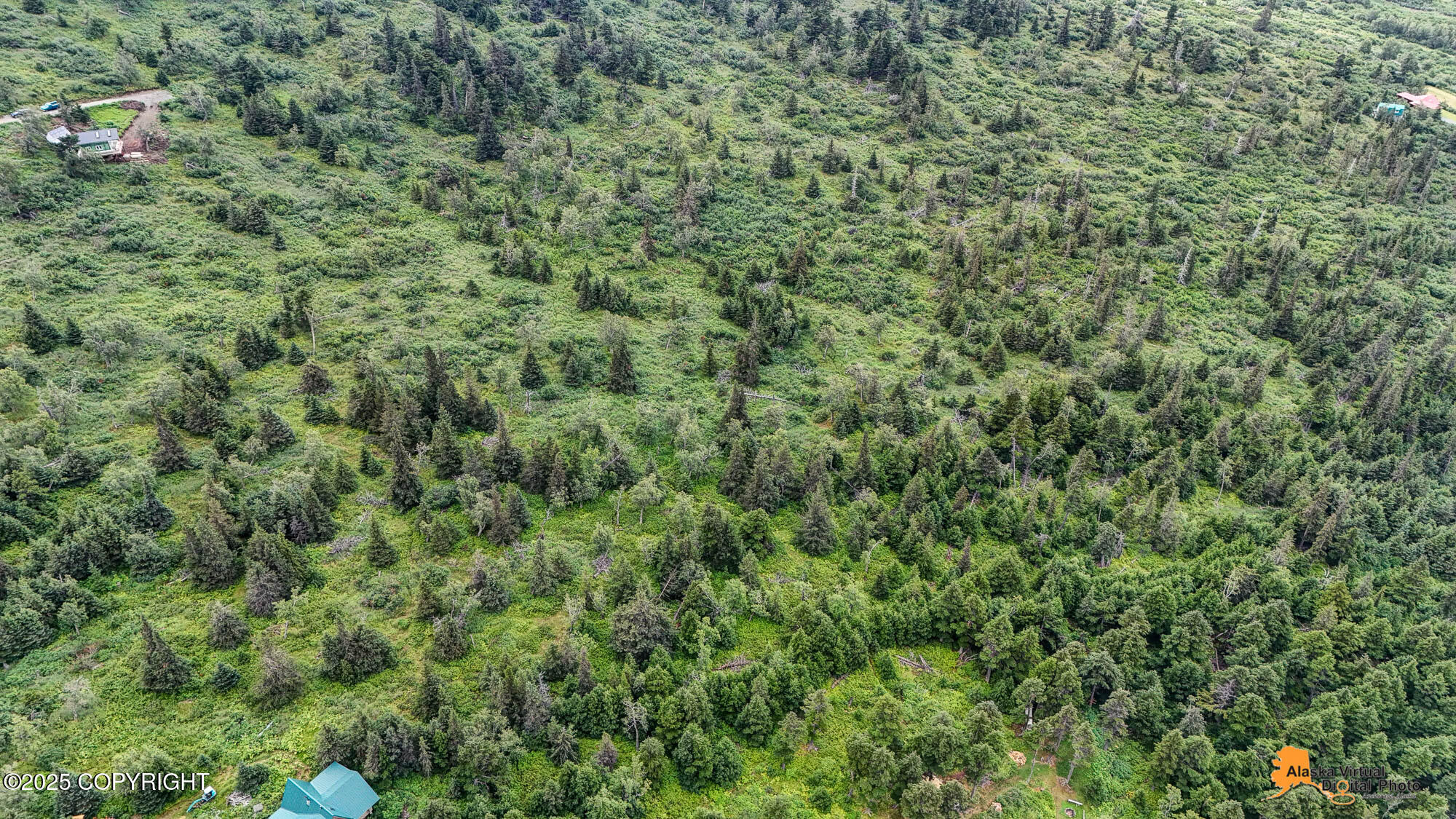 000 Potter Heights Drive