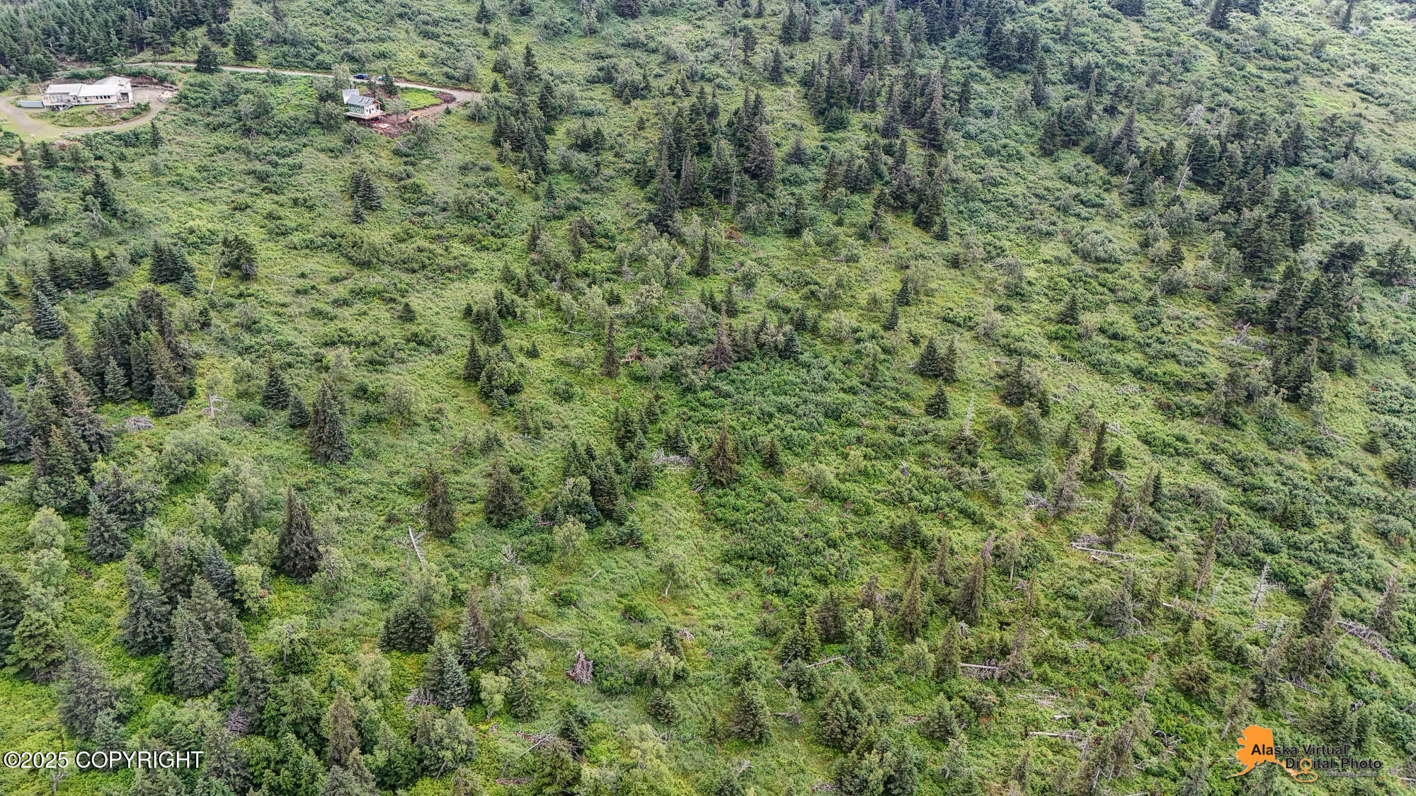 000 Potter Heights Drive