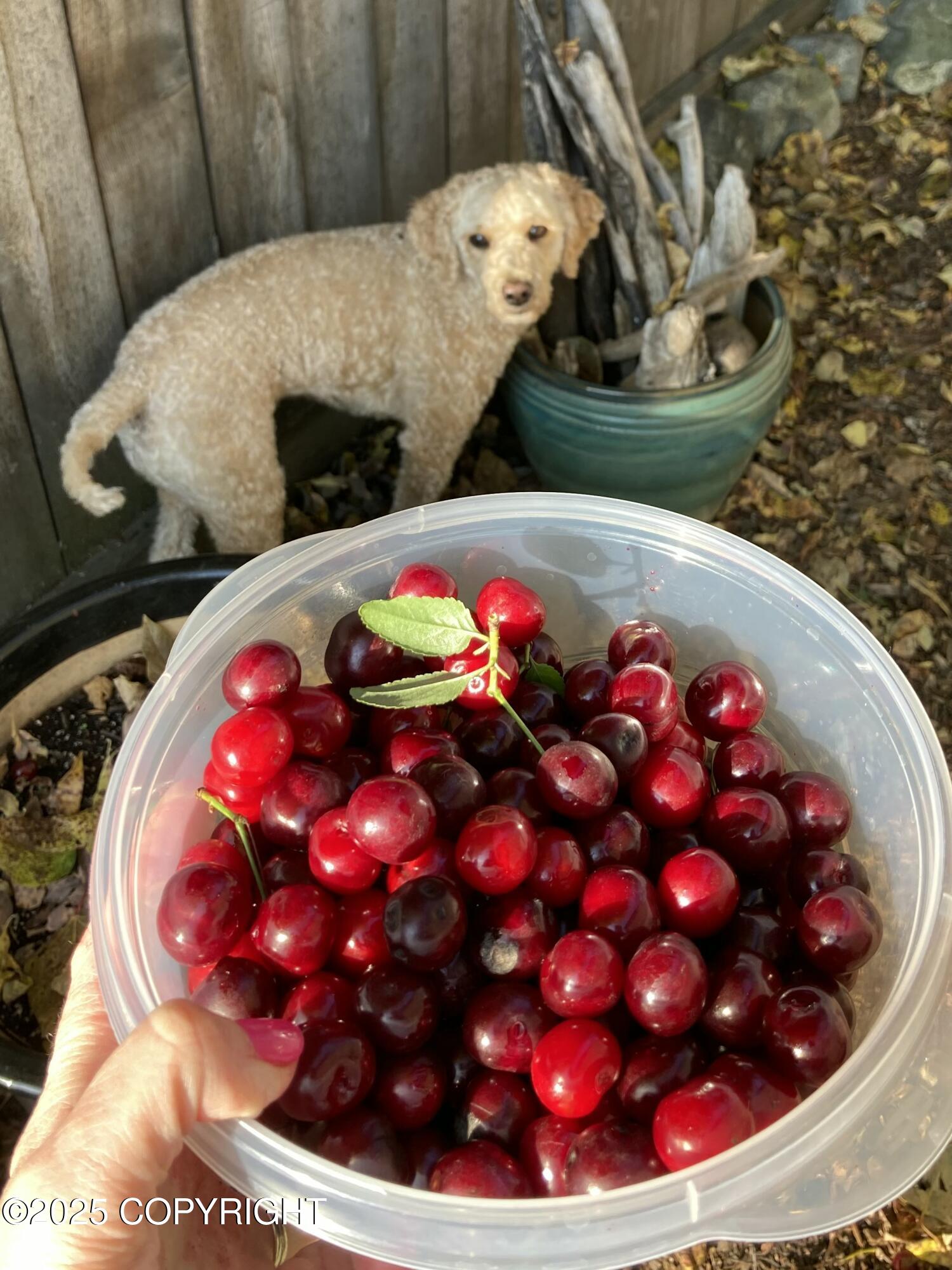 2820 Malibu Meandows Way # 3B Unit: #3B