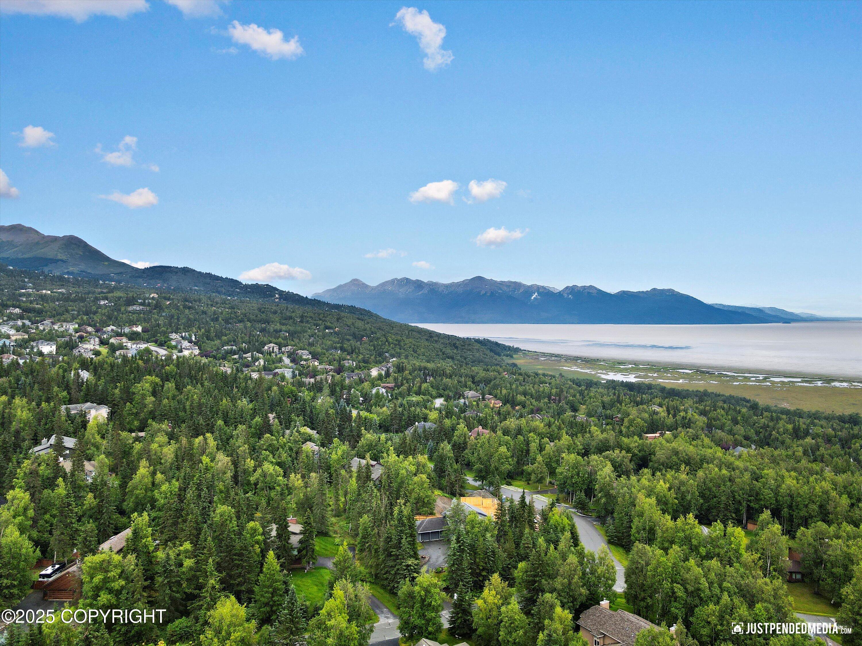 4690 Southpark Bluff Drive