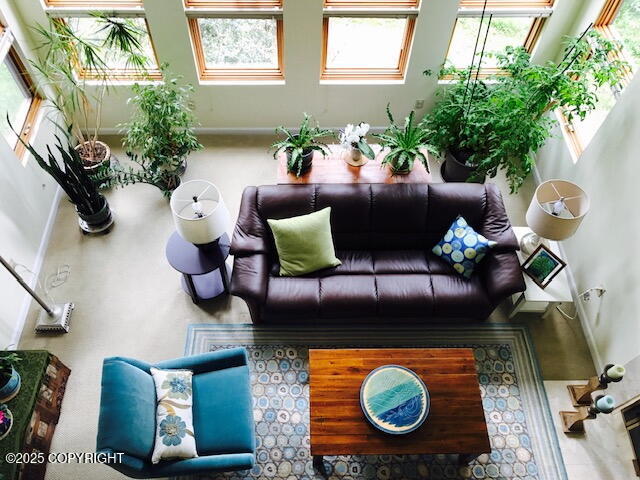 4690 Southpark Bluff Drive