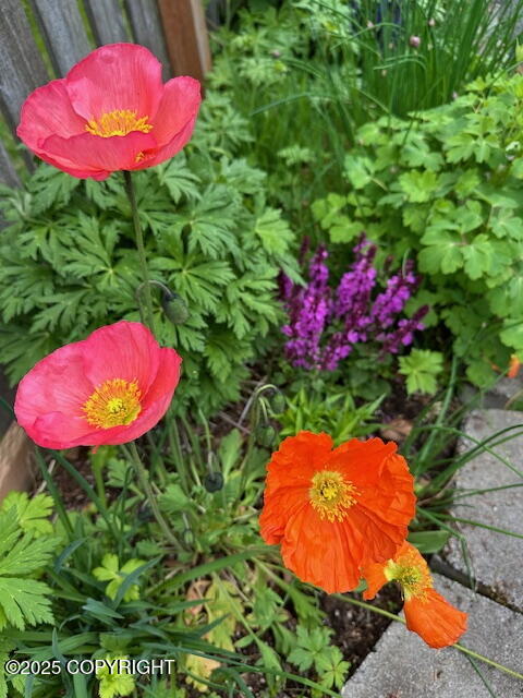 4690 Southpark Bluff Drive