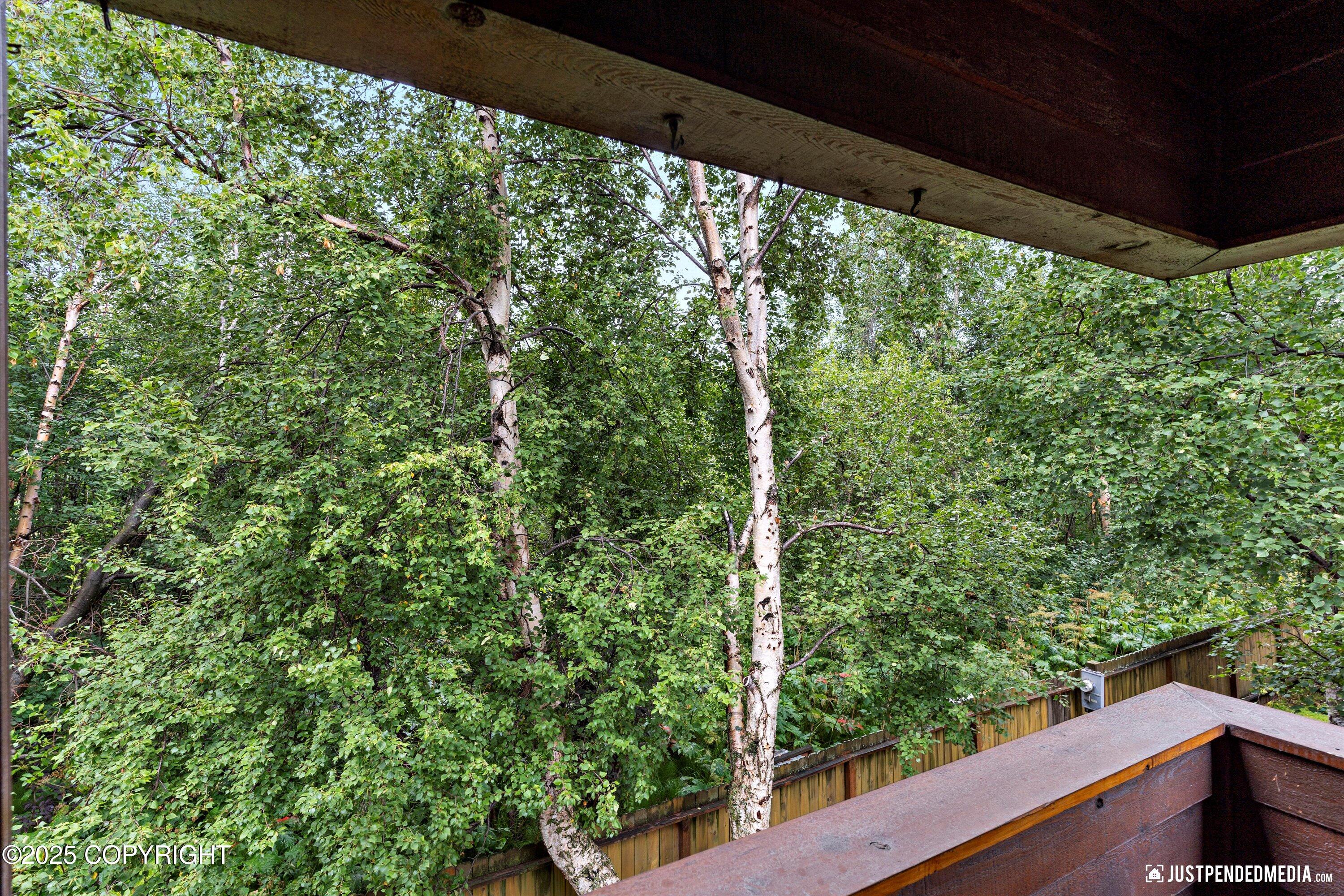 9700 Vanguard Drive # 65