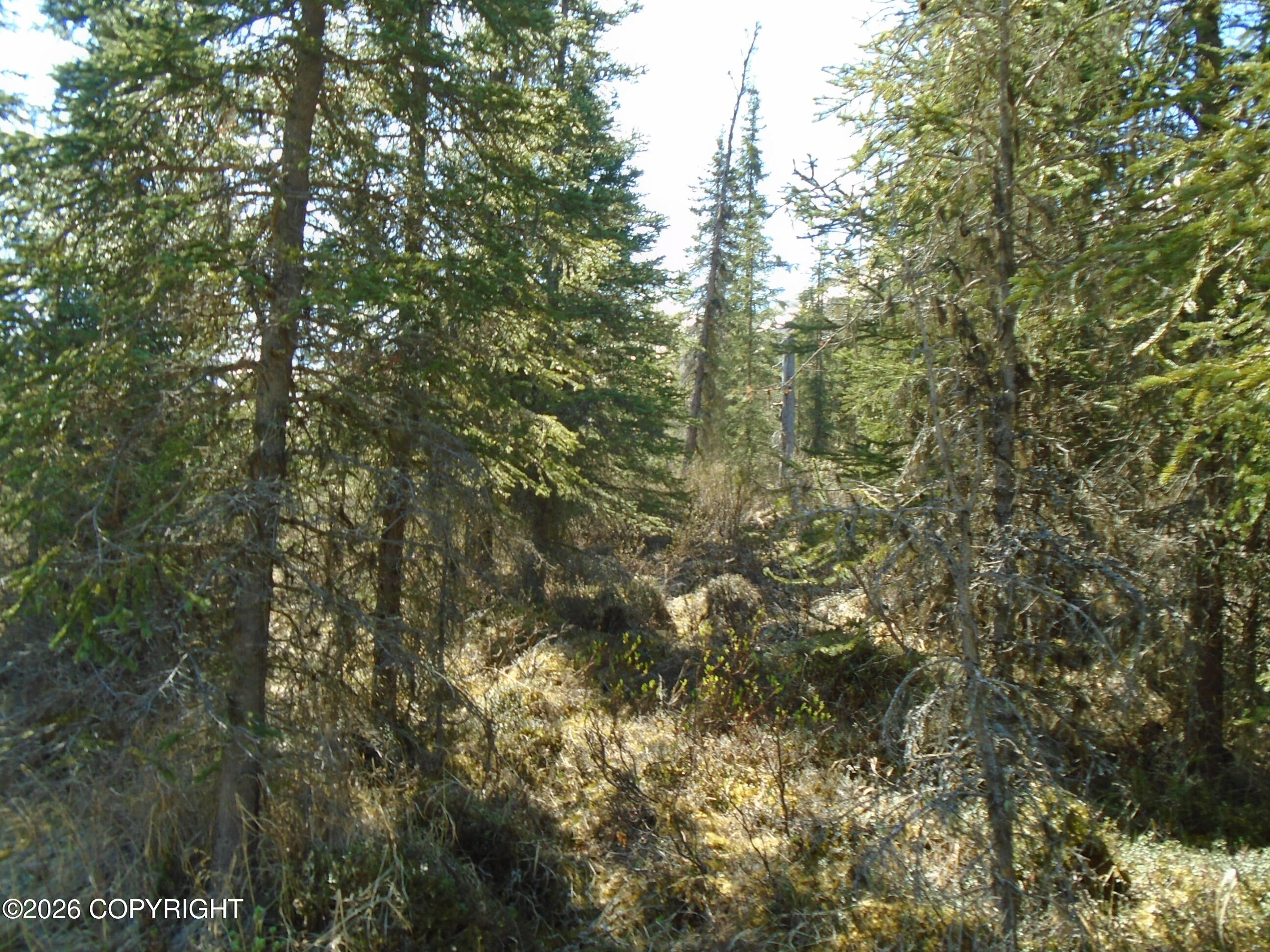 Lot 6 River Circle