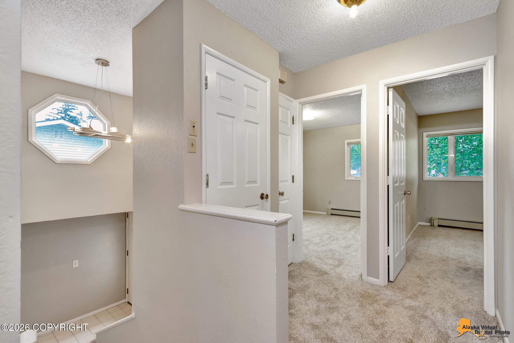3801 Patricia Lane