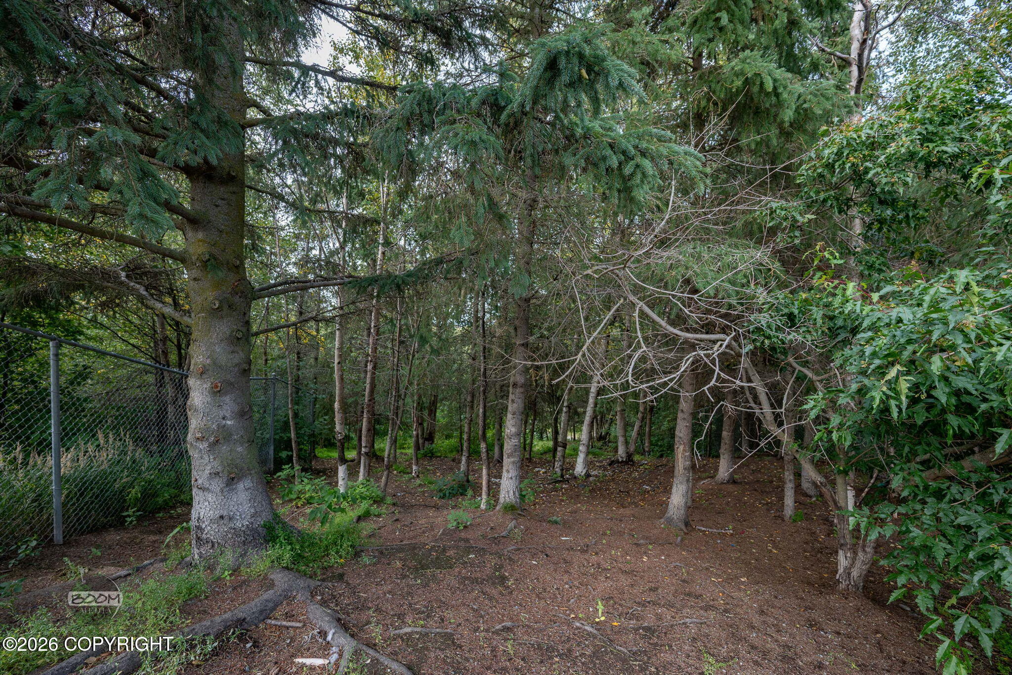 12201 Skyway Drive