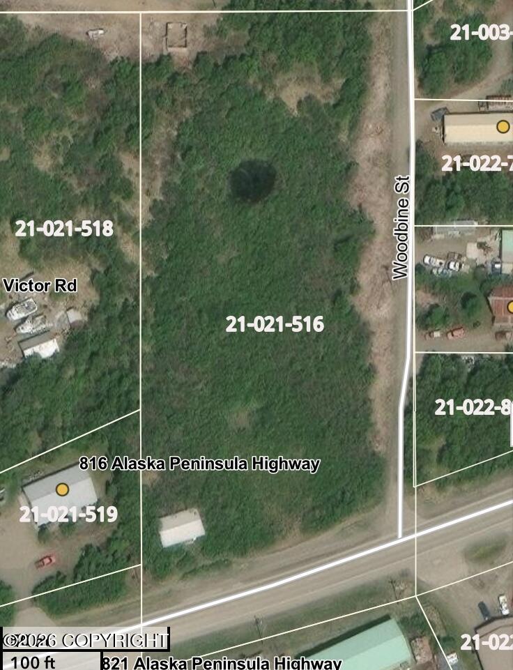 Aerial view of wooded parcel 21-021-516 along Alaska Peninsula Highway.