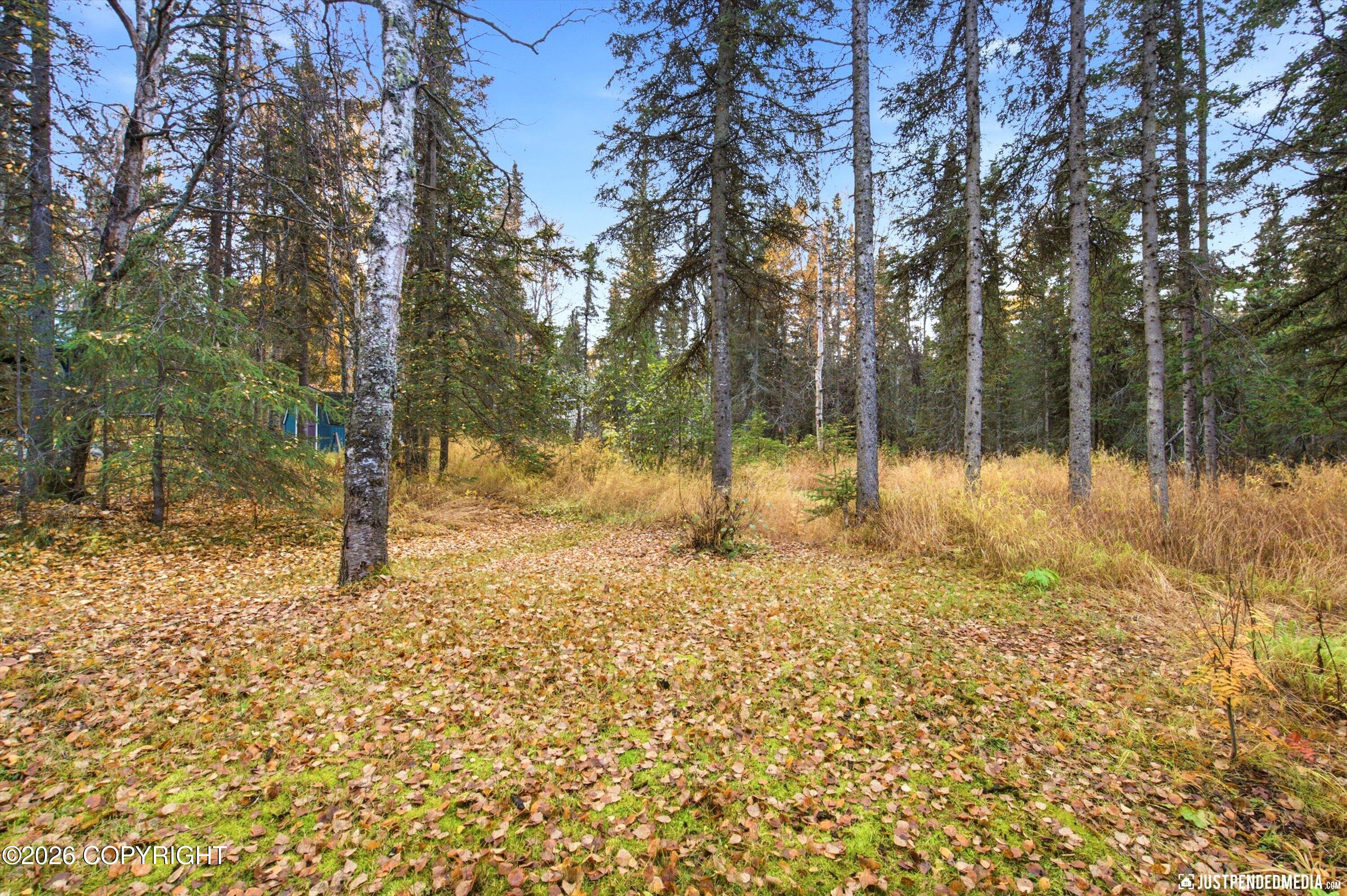 10020 Lone Tree Drive