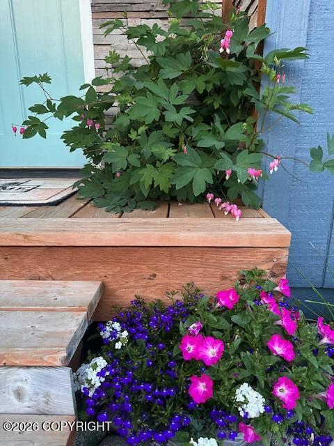 1595 Bellevue Circle