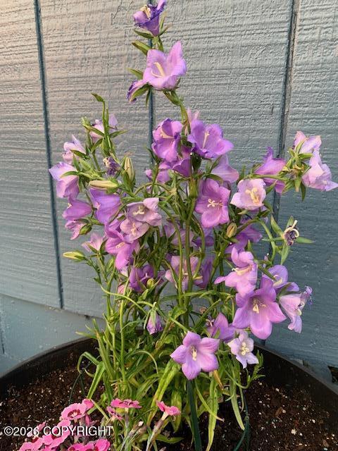 1595 Bellevue Circle