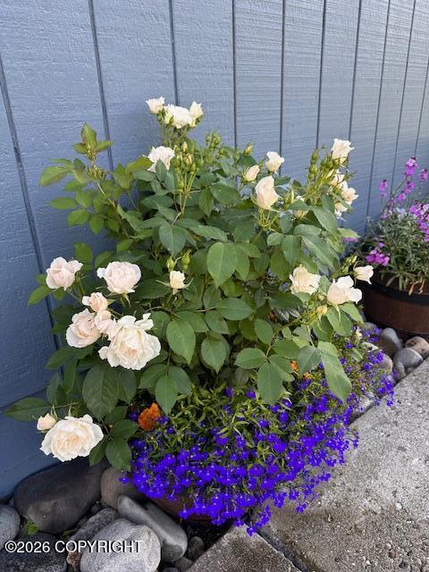 1595 Bellevue Circle