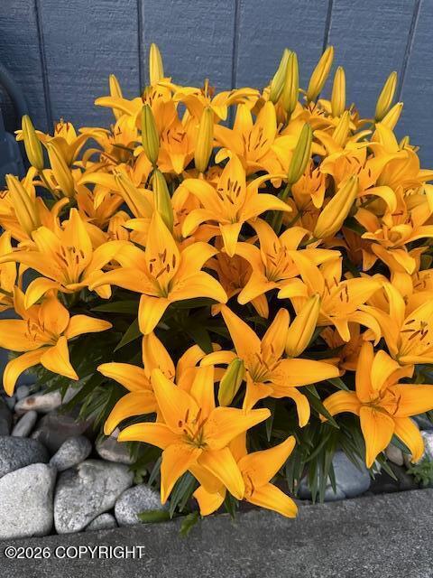 1595 Bellevue Circle